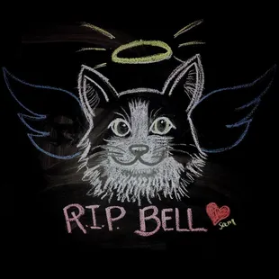 Bell will always be remembered. It's been wonderful to hear and share all our stories and experiences with her. She had quite the personalit
