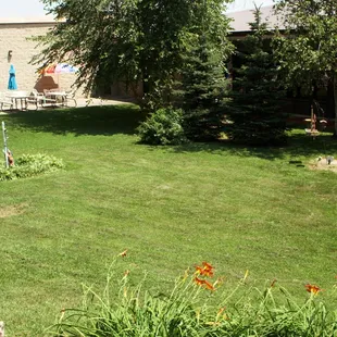 Our Courtyard. Watch our famous black squirrels and other wildlife play!