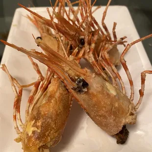 Fried Amaebi heads (u get this for ordering amaebi sushi)