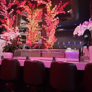 sushi and sashimi, interior