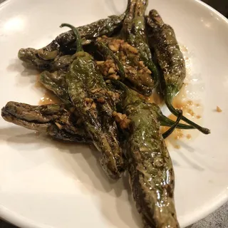 Shishito Pepper