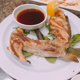 Yellowtail
