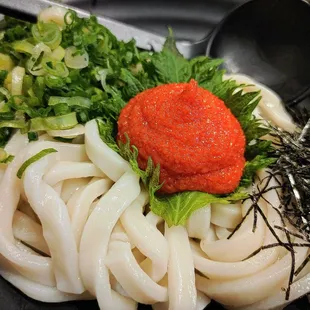 Cold Udon