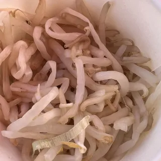 Bean Sprouts