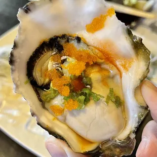 a person holding a oyster