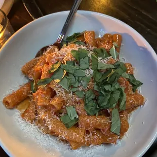 RIGATONI SPICY VODKA