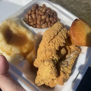 chicken wings and fried chicken, bbq wings, poultry, chicken wings, food, fried chicken wings, fried chicken, chicken, bbq chicken