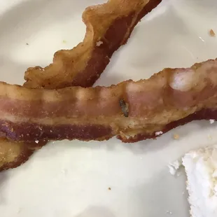 Bug cooked into bacon
