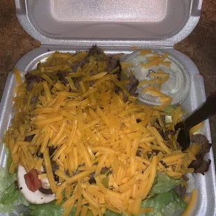 Steak Salad (w/o fries and bell peppers) .. huge and yummy
