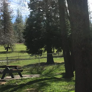 Next to the highway... and a horse.