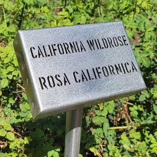 One of many plants signs....who knew what this plant was? I sure didn't