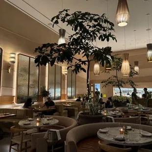a restaurant with a tree in the middle
