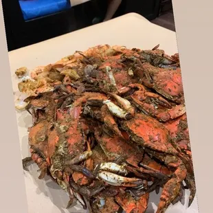 All you can eat crabs &amp; shrimp