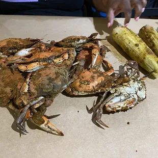 First round of All-You-Can Eat crabs......ears of corn not included