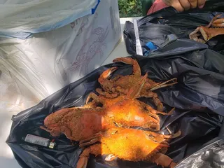 Tuckahoe Seafood
