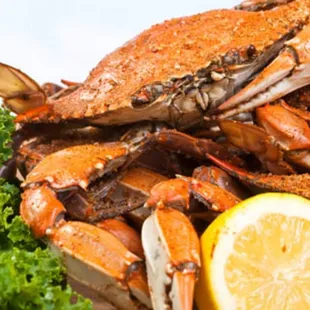 paella, food