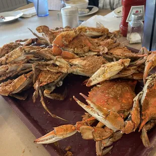Dozen XL crabs