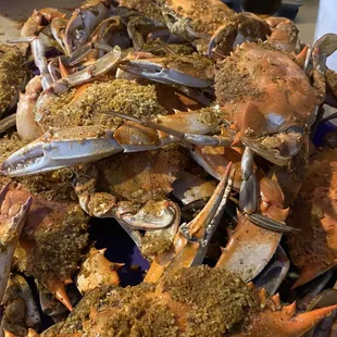 Jumbo crabs  The BEST!