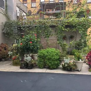 Pretty little spot outside