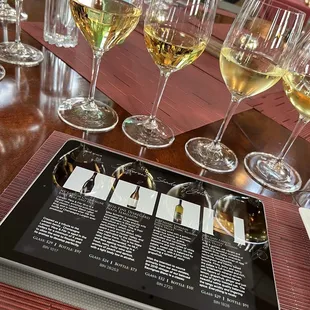 Different Shades of Yellow Flight