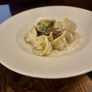 Cappellacci