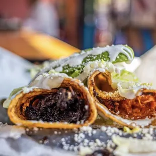 oysters, food, shellfish, oysters and mussels, mussels