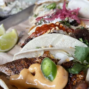 Tacos taco taco tacos!