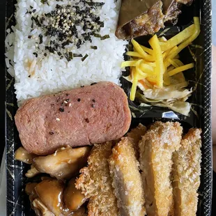 Chicken Katsu and Teri Chicken Bento