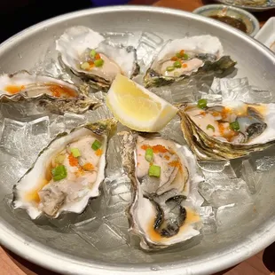 Raw oysters