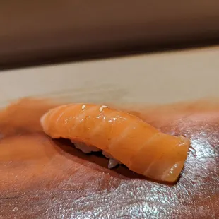 Salmon