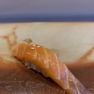 Salmon