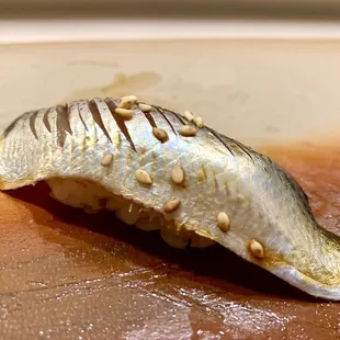 Japanese Mackerel