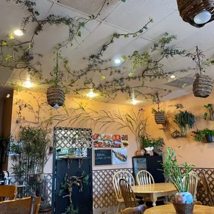 Eating area decorated by fresh plants