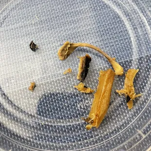 Chicken bones and cartilage.