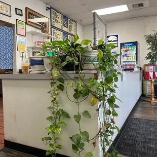 Order area