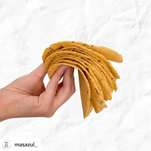 Yellow Bolita from Oaxaca