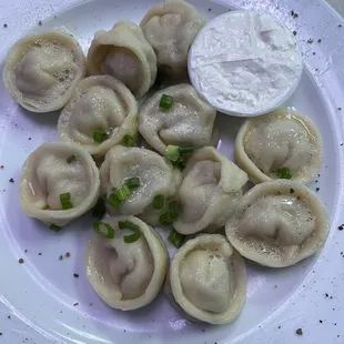 Meat Dumplings
