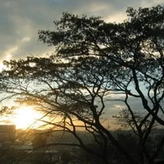 Jose Alejandro Fortes C.