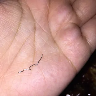Metal shaving I found in my rice. Luckily, I found it before I ate it. I definitely won't be back. Plus the rice is super watery