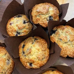 Muffins