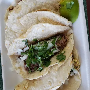 Pastor Taco, Barbacoa Taco, and Napales Taco.