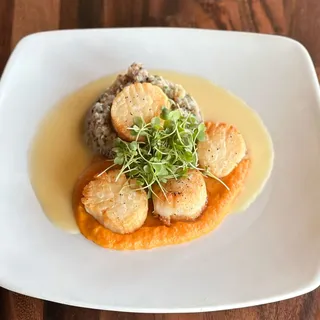 Seared Scallops