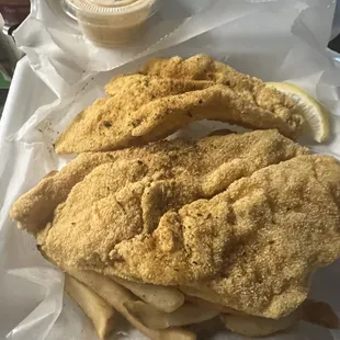 2 pc Catfish Fillet
