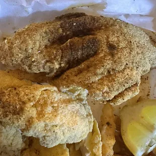 "Fried Catfish" and Fries