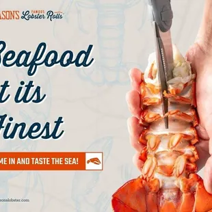 8_Mason_s Famous Lobster Rolls_premier seafood restaurant in Arlington.jpg