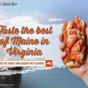 1_Mason_s Famous Lobster Rolls - Virginia Beach (Atlantic Ave)_rolls in Virginia Beach, VA.jpg
