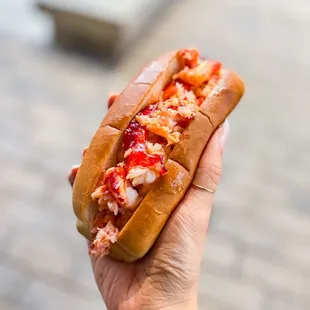 a hand holding a lobster roll