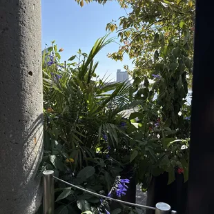 Nice view of the inner harbor from the outside tables