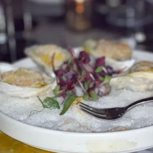 a plate of oysters on ice