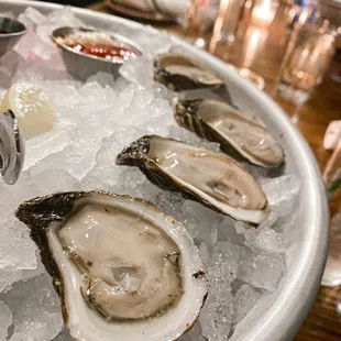 Sweet Petites Oysters